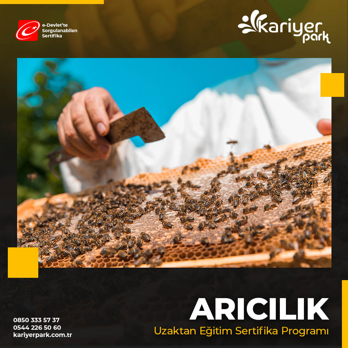 Arıcılık Eğitimi Sertifika Programı kapsamında arı yetiştiriciliği kursunu tamamlayan arıcılara sertifikaları dağıtılacaktır.