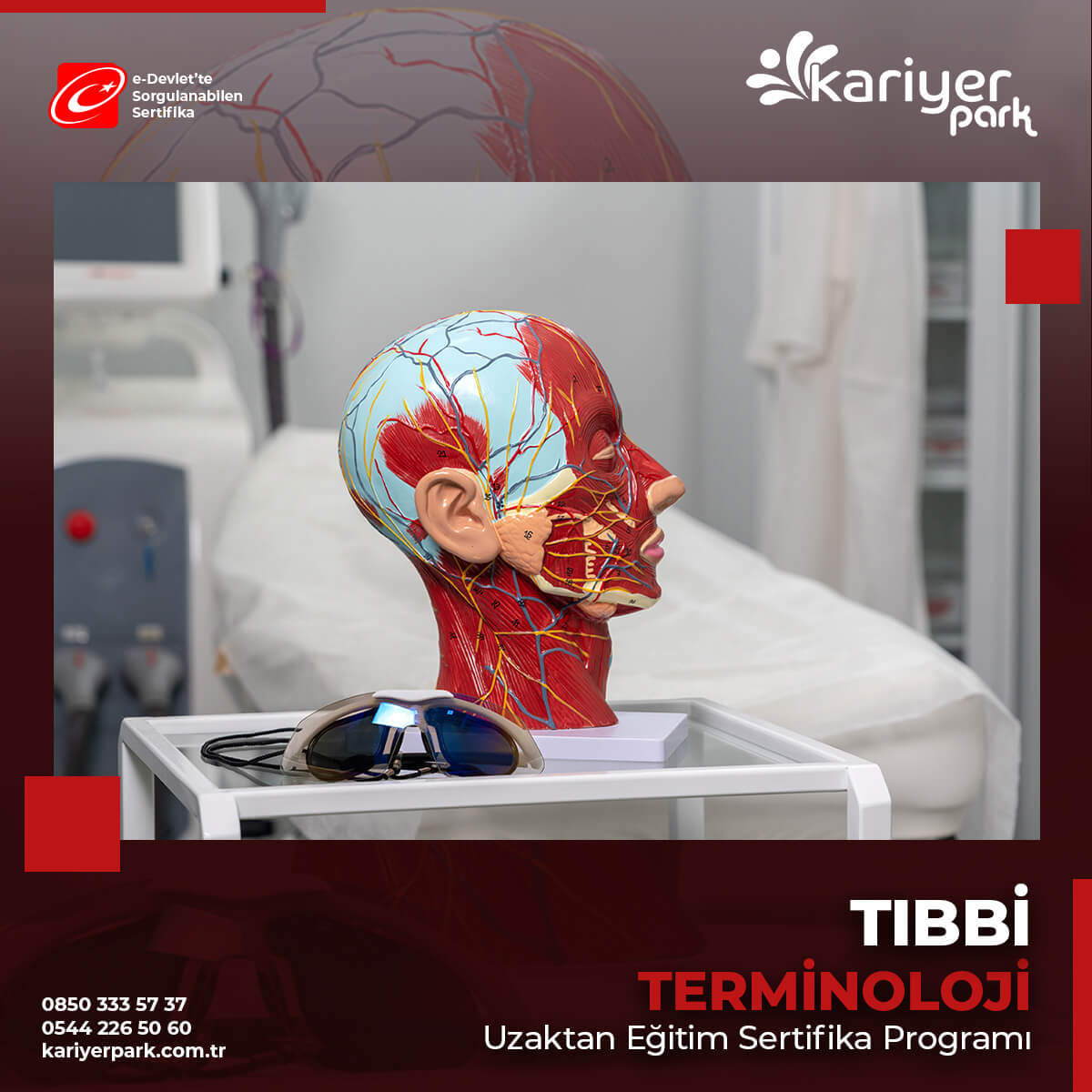 Tıbbi Terminoloji; İnsan organlarını, sistemleri ve işlevlerini, hastalıkları, vücut bölgelerini, tıbbi terimlerin tamamını inceleyen ve öğreten bilim dalıdır.