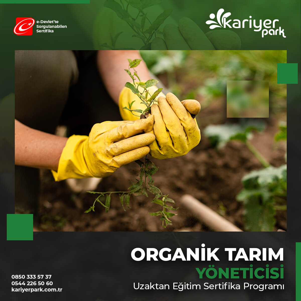 Organik Tarım Yöneticisi Eğitimi Sertifikası